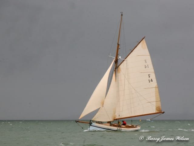 Merlin 2012 by Barry James Wilson Merlin 2012 (Photo by Barry James Wilson)